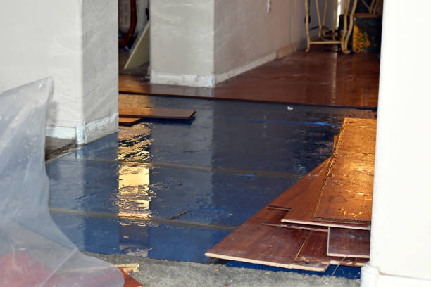 Professional Sewage Cleanup technician working in Johnson City, NY